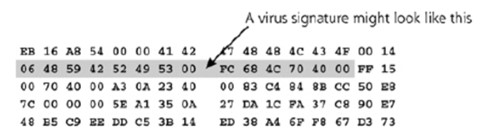 firma virus